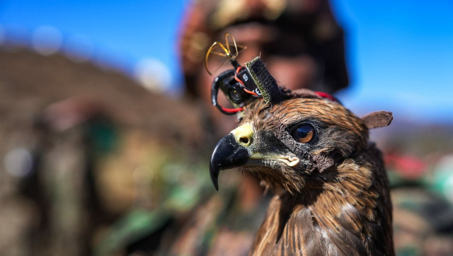 Beating China at their own game: Indian Army is using Chinese cameras to spy on Chinese drones Beating China at their own game: Indian Army is using Chinese cameras to spy on Chinese drones