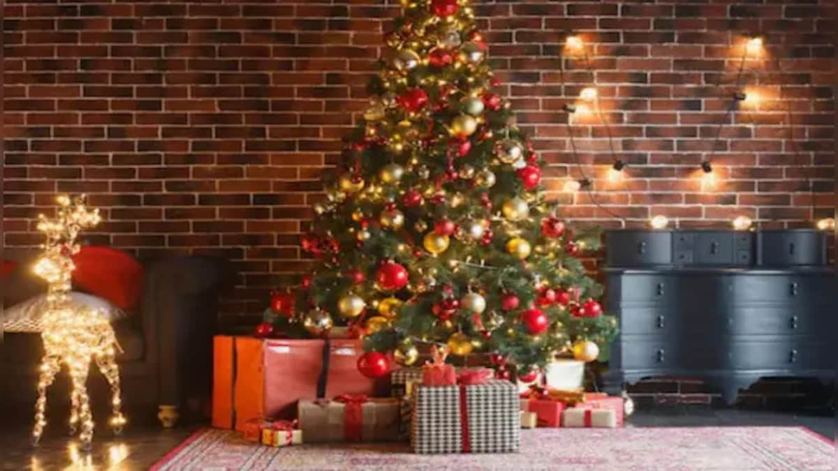 Christmas 2022: Places in India that are recognised for their vibrant celebrations