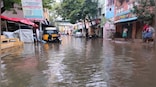 Cyclone Mandous triggers heavy rainfall in Tamil Nadu: Chennai roads waterlogged, trees uprooted