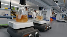 Fight to curb food waste increasingly turns to science