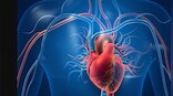 Congenital Heart Defects: Know the symptoms and preventions