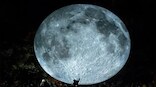 Japanese startup launches country's first ever lunar mission, will put two robots on Moon