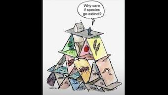 Twitter user cautions internet about human extinction, shares 'special' cartoon