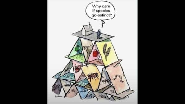 Twitter user cautions internet about human extinction, shares 'special' cartoon