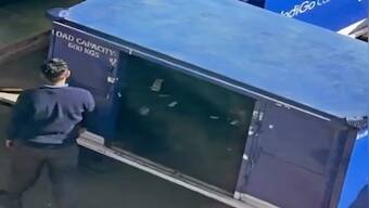 Watch: Video of Indigo staff throwing musical instruments carelessly irks internet
