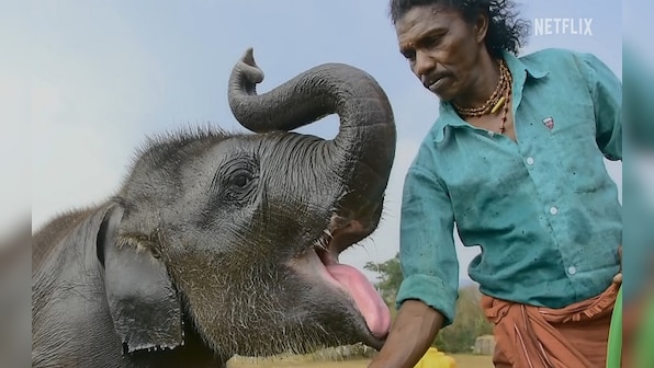 The Elephant Whisperers review: A moving love story about the power of community