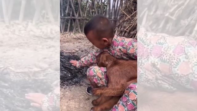 Kid warms up goat near fire in chilling weather, viral video wins hearts Kid warms up goat near fire in chilling weather, viral video wins hearts