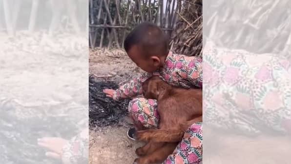 Kid warms up goat near fire in chilling weather, viral video wins hearts