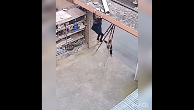 Viral video: Little 'hero' saves mother from near-fatal accident in; wins applause Viral video: Little 'hero' saves mother from near-fatal accident in; wins applause