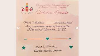 US girl gets official permission to own unicorn, only if she finds one! Here's what happened