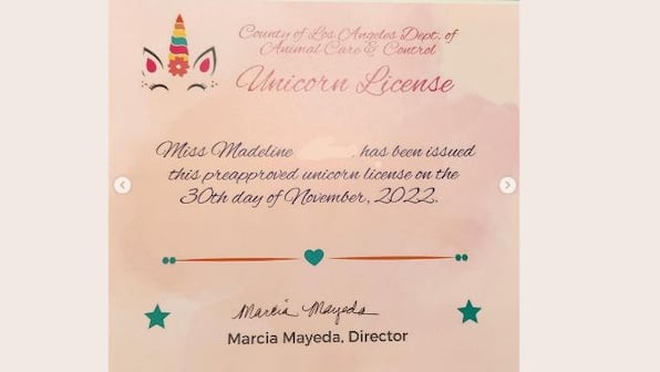 US girl gets official permission to own unicorn, only if she finds one! Here's what happened