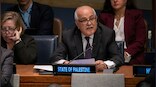 UN General Assembly seeks court opinion on legality of Israeli policies in occupied West Bank, east Jerusalem