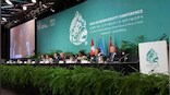 Historic biodiversity agreement to protect nearly a third of planet by 2030 reached at UN conference