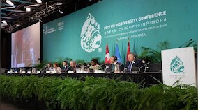 Historic biodiversity agreement to protect nearly a third of planet by 2030 reached at UN conference