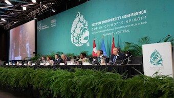 Historic biodiversity agreement to protect nearly a third of planet by 2030 reached at UN conference