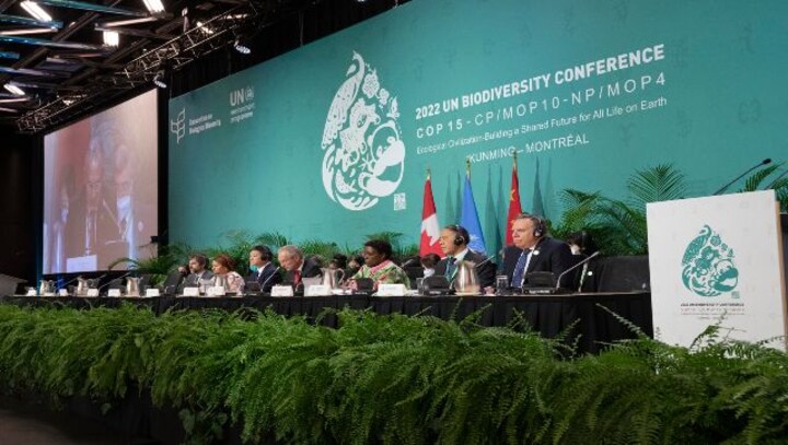 Historic biodiversity agreement to protect nearly a third of planet by 2030 reached at UN conference