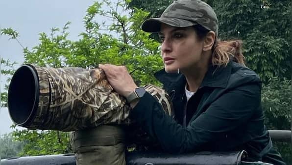 Raveena Tandon impressed with 'kind man' for helping kingfisher bird stuck on frozen pipe; shares video