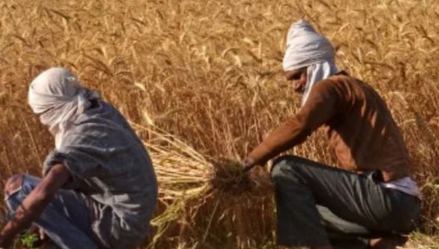 National Farmers’ Day 2022: Quotes, wishes and messages to send on Kisan Diwas National Farmers’ Day 2022: Quotes, wishes and messages to send on Kisan Diwas