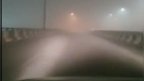 Northwest India wakes up to dense fog as cold wave continues