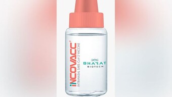 Can't take nasal vaccine after booster dose, says DR NK Arora