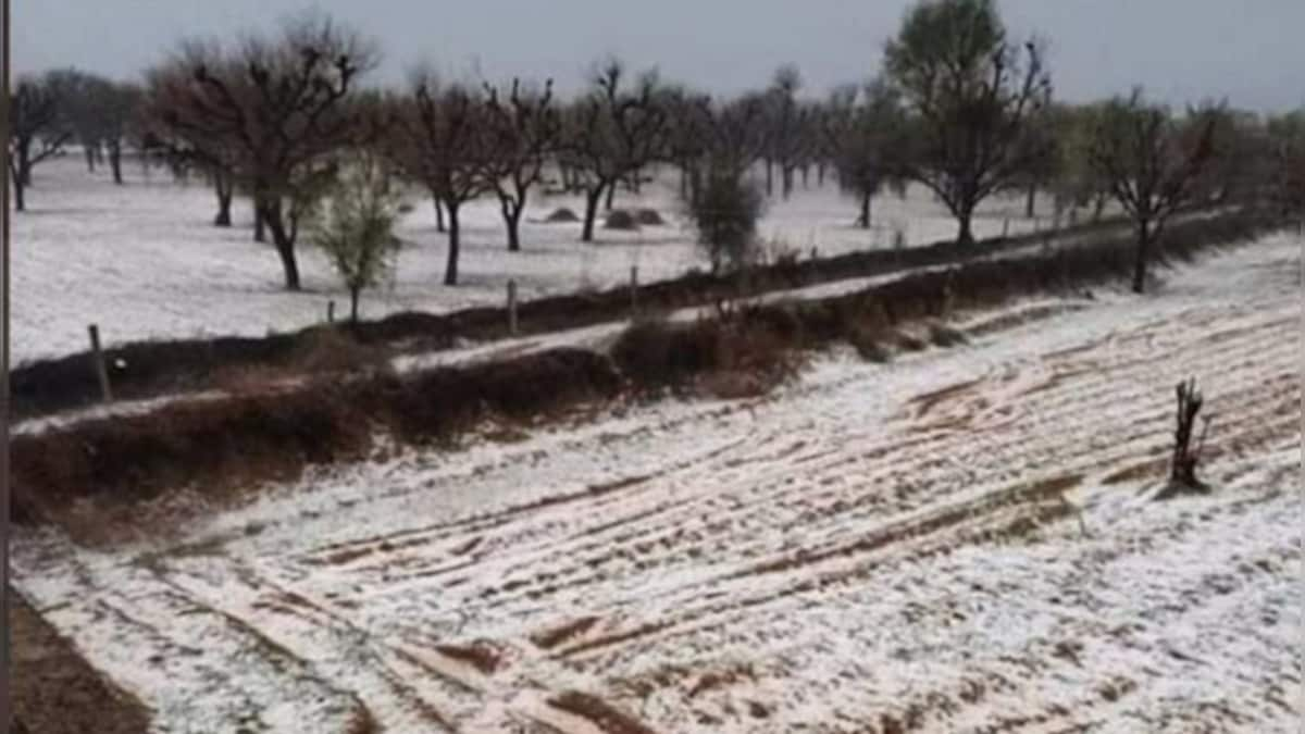 Weather Update Today: Churu records coldest day as North India freeezes in winter chill