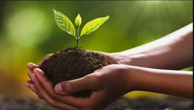 World Soil Day 2022: Know its History, significance and theme World Soil Day 2022: Know its History, significance and theme