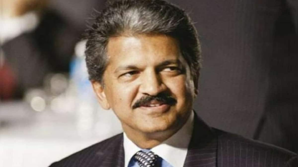 Anand Mahindra expresses 'gratification' as India becomes second-largest steel producer