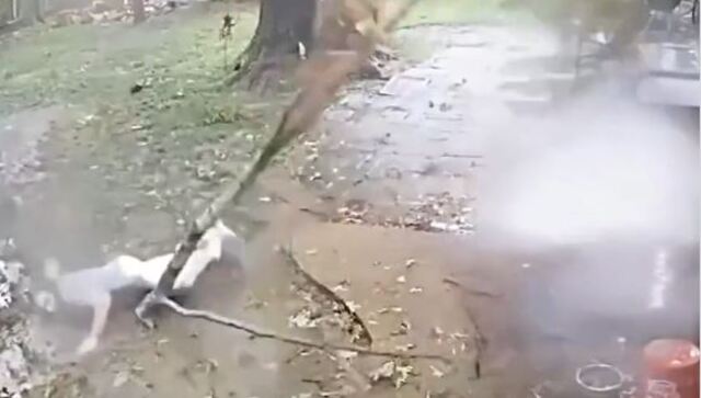 Video of man narrowly escaping death goes viral, internet calls it 'Final Destination voodoo' Video of man narrowly escaping death goes viral, internet calls it 'Final Destination voodoo'