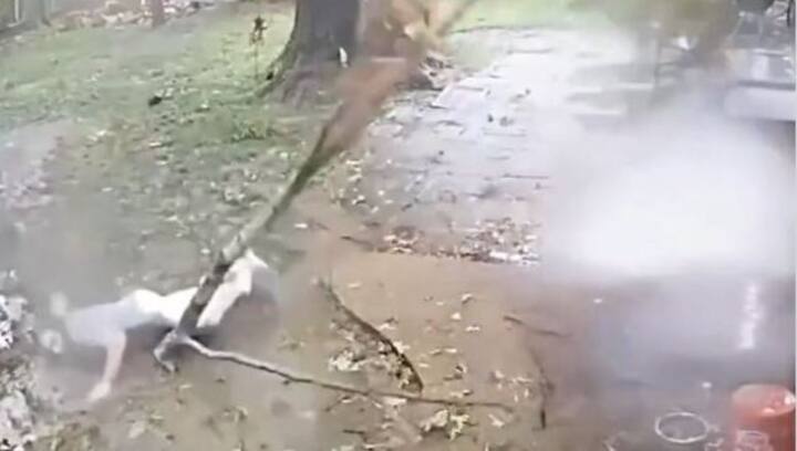 Video of man narrowly escaping death goes viral, internet calls it 'Final Destination voodoo'