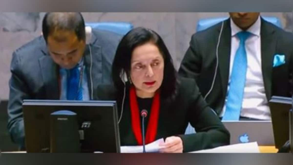 Violence against women, girls perpetrated by terrorists remains rampant: India at UNSC