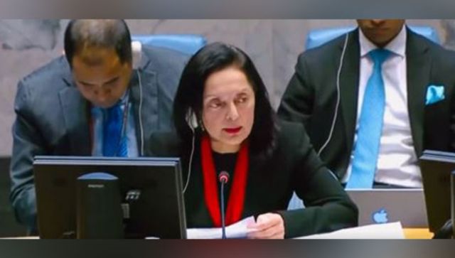 Violence against women, girls perpetrated by terrorists remains rampant: India at UNSC Violence against women, girls perpetrated by terrorists remains rampant: India at UNSC