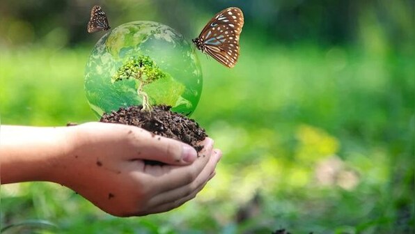COP15: Over 3 million sign petition for protection of 50 per cent of world's biodiversity