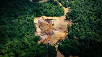 Brazil: Goldminers carve illegal ‘Road to Chaos’ out of Amazon reserve