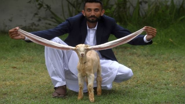 Firstpost
