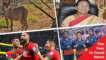 Cheetahs, Morocco, and more: Some good news from 2022