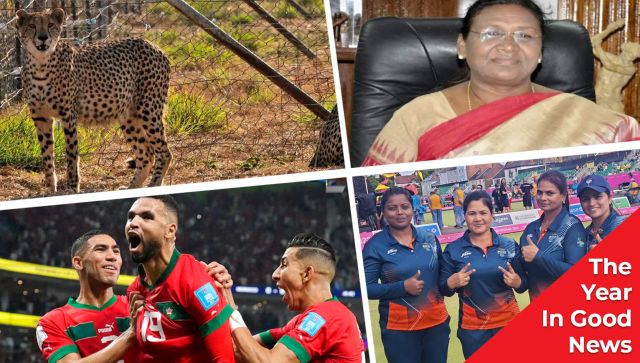 Cheetahs, Morocco, and more: Some good news from 2022 Cheetahs, Morocco, and more: Some good news from 2022