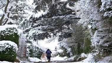 Great Brrr-itain: Arctic blast brings UK to a grinding halt