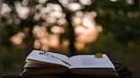 Explained: How poetry can spark new ideas for dealing with the climate crisis