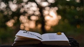 Explained: How poetry can spark new ideas for dealing with the climate crisis