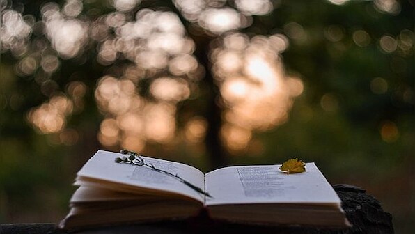 Explained: How poetry can spark new ideas for dealing with the climate crisis