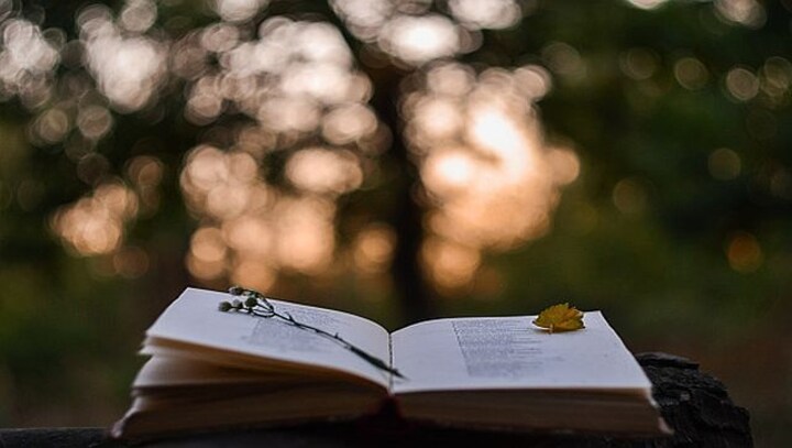 Explained: How poetry can spark new ideas for dealing with the climate crisis