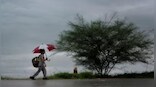 Weather Report: Cyclone Mandous brings rains over North TN; North, East and North East India to remain dry this week