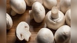 From mushrooms to oranges: Superfoods that help you get vitamin D in winters