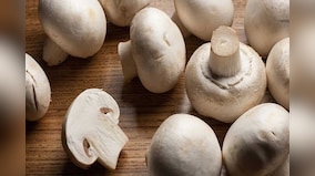 From mushrooms to oranges: Superfoods that help you get vitamin D in winters