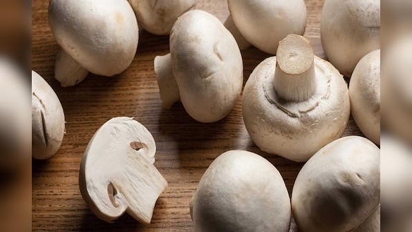 From mushrooms to oranges: Superfoods that help you get vitamin D in winters