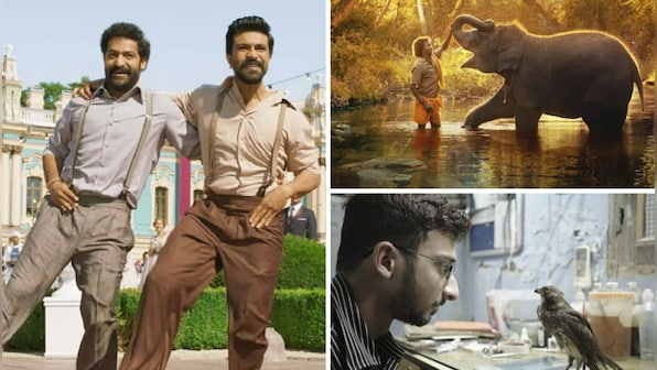 Oscars Shortlists: A closer look at the four Indian films up for glory