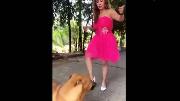 Instagram influencer faces heavy backlash after kicking dog for 'fun' reel, issues apology