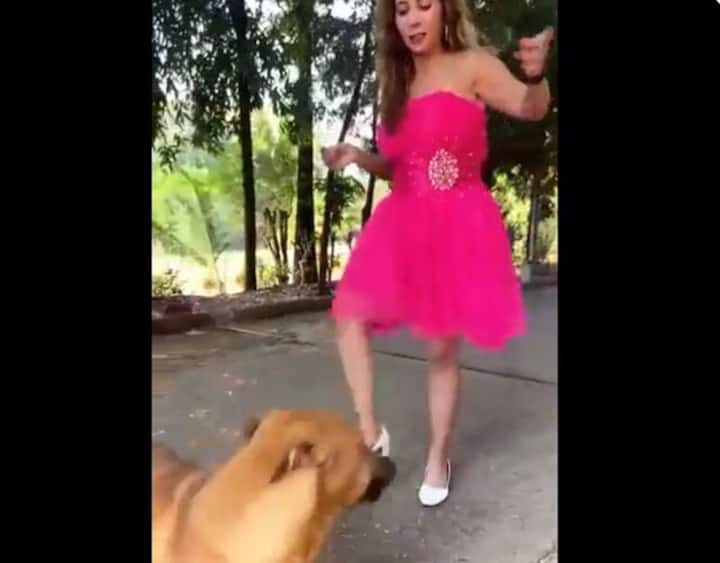 Instagram influencer faces heavy backlash after kicking dog for 'fun' reel, issues apology