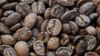 Explained: How your cup of coffee could be contributing to climate change