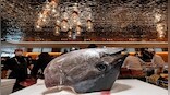 Bluefin Tuna sells for Rs 2 crore in Japan: Why is it so expensive?
